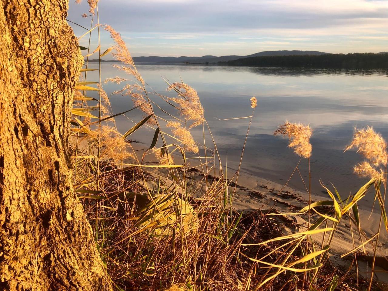 Lakeview Cottage Forster Esterno foto